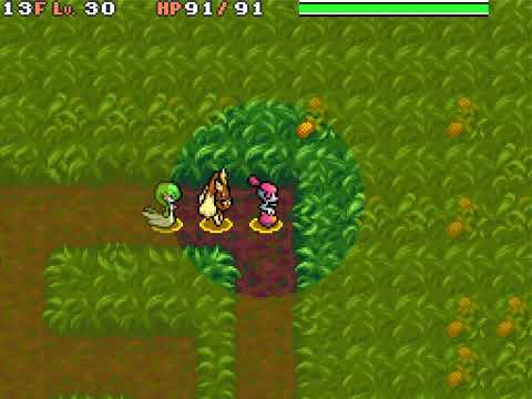 Team Charm - Nuzlocke Speedrun (see descrip.) - Mystery Jungle - All 29 Floors + Deep Jungle w/ Loot