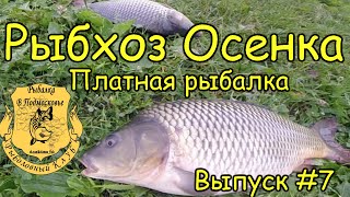 Рыбалка отчет коломна о рыбалке