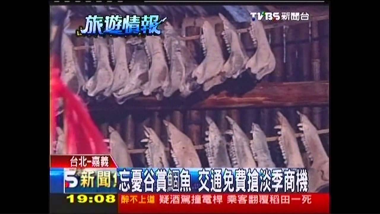 忘憂谷賞鯝魚　交通免費搶淡季商機