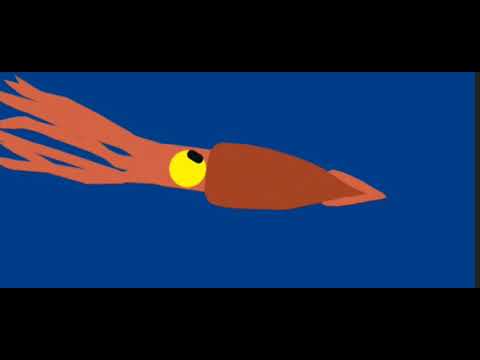 Colossal squid vs sperm whale dc2 animation