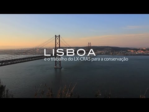Lisboa e o trabalho do LxCRAS para a conservação