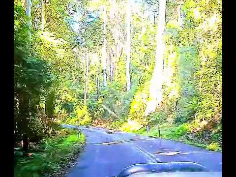 Bonalbo to Urbenville ute run in the Yabbra.