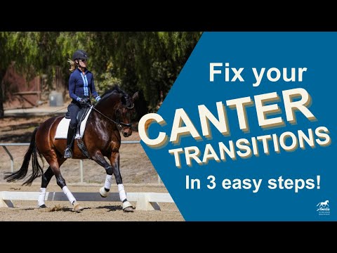 Improve Your Canter Transitions with these Patterns