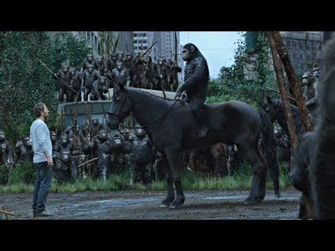 Meeting Scene | Dawn of the Planet of the Apes (2014)#LOWI