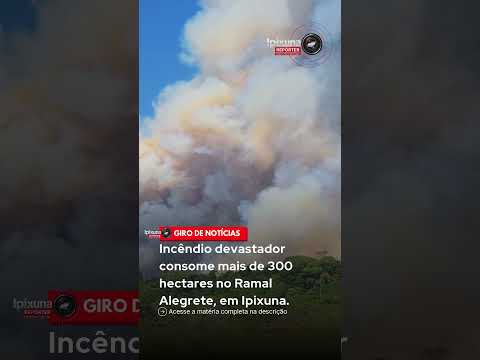 Incêndio devastador consome mais de 300 hectares no Ramal Alegrete, em Ipixuna.