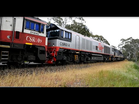 SCT Logistics 7 Locomotives on 5PM9 SCT001 SCT002 CSR009 CSR014 CF4403 EL53 EL55 24th October 2021