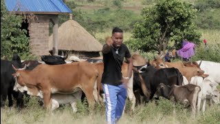Download lagu Chief Nyihocha Song Harusi Wagete_ly Video mp3 Download lagu Chief Nyihocha Song Harusi Wagete_ly Video mp3