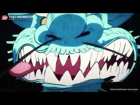 Muscle Muscle MUSCLE! - One Piece