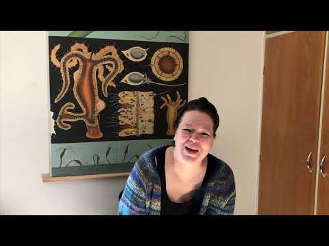 Løs på tråden - Episode 2