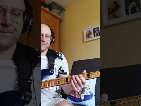 Gdy jest brzydko. JÓZEFINA & SKUBAS #basscover