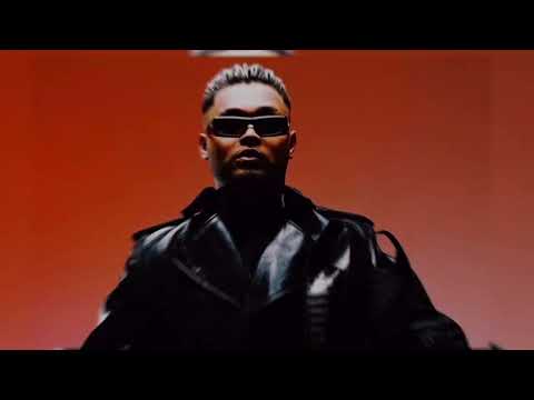 Lvbel C5 - COOOK PARDON (Dj Zuxa x Dj Tab Remix)