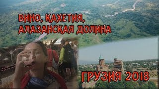 preview picture of video '#vlog: Грузинское вино, Алазанская долина, Кахетия 2018'