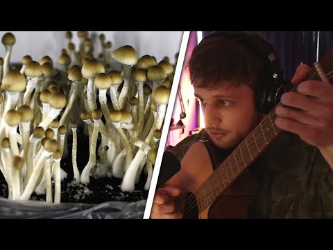 Fitz Shares His Amazing Solo Trip on Shrooms