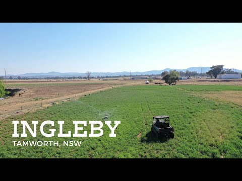 360 Warral Road, Tamworth, NSW 2340, 3 રૂમ, 1 બાથરૂમ, Lifestyle Property