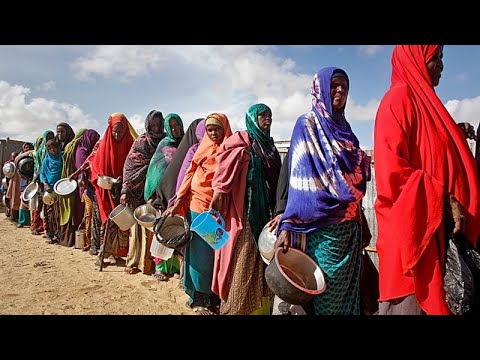 Crisis-levels of hunger in Somalia more than double, say UN-backed experts