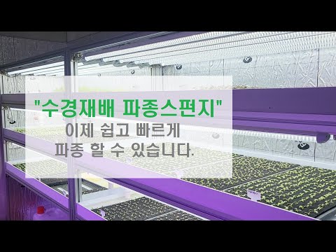 , title : '수경재배방법 스펀지파종 - 이제 손쉽게 수경재배 파종하세요~(feat.아쿠아포닉스 서유채)'