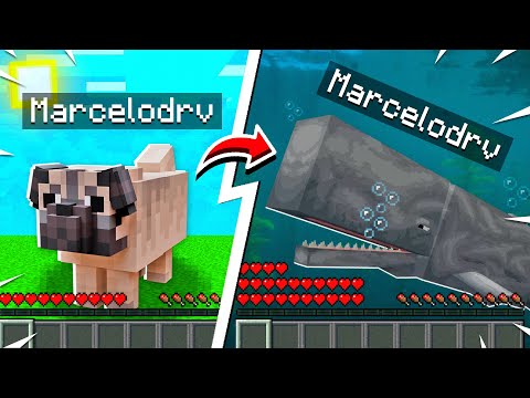 Minecraft MAS a cada minuto VIRAMOS um ANIMAL!