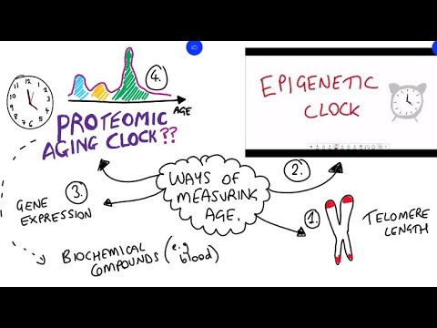 Comparing aging clocks