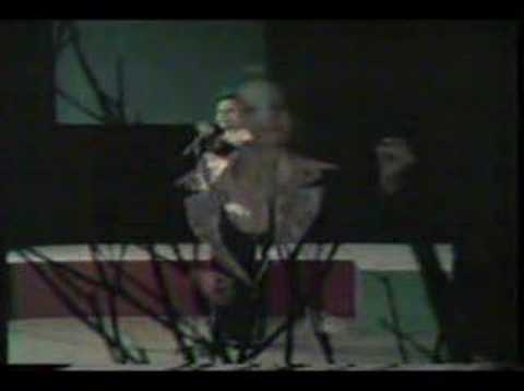 Blanca Rosa Gil- Homenaje a Rafael