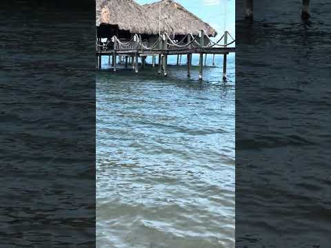 Playa Trujillo, Colón Honduras #viral #funny #love #nature