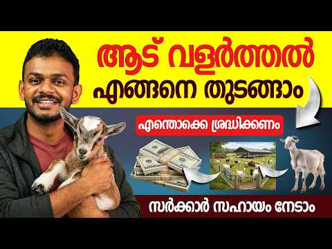 Goat Farming for Beginners — Step-by-Step Guide & Transcript