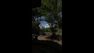 Live streaming of Valdelis