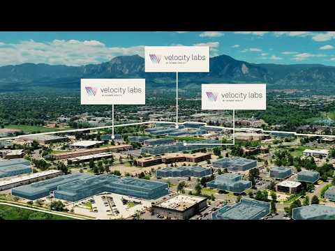 Life Sciences