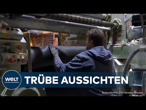 DEUTSCHE WIRTSCHAFT 2024:  Prognosen sagen schwere Zeiten voraus