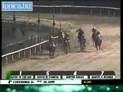 30/06/2014, Corridonia , Premio Capri