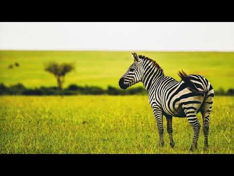 Toti LWR - Hhotopoi (Original Mix)