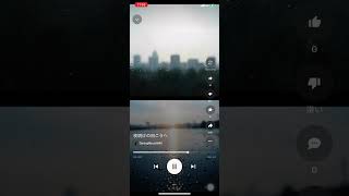 夜明けの向こうへ歌詞無し