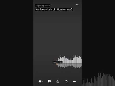 Kanives - Hush Lil Homie