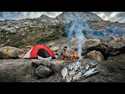 80 Hours SOLO Survival – Pulling Fish from the Rocks