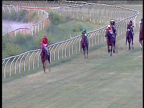 Galoppo 27/07/2019 - 3ª corsa