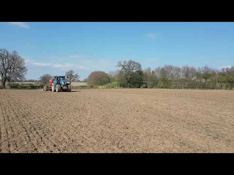 Planting British Quinoa 2020