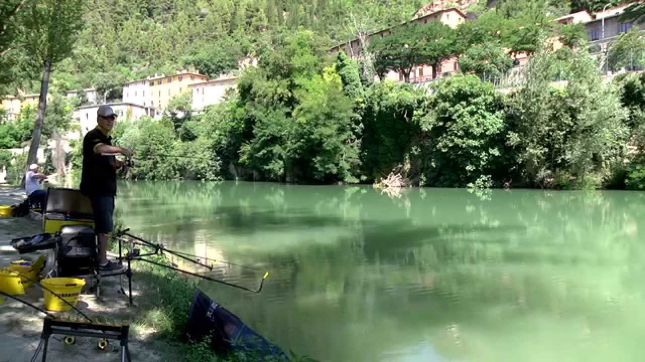 Italian Fishing TV - Tubertini Feeder in Tour - Marche