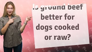 Is ground beef better for dogs cooked or raw?