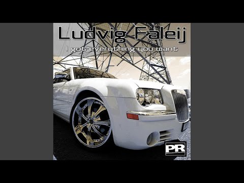 I Got Everything You Want (Original Mix)