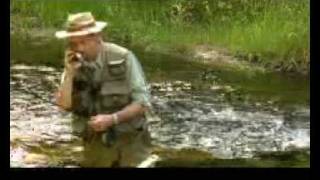 preview picture of video 'Fly Fishing in Emmet County, Michigan'