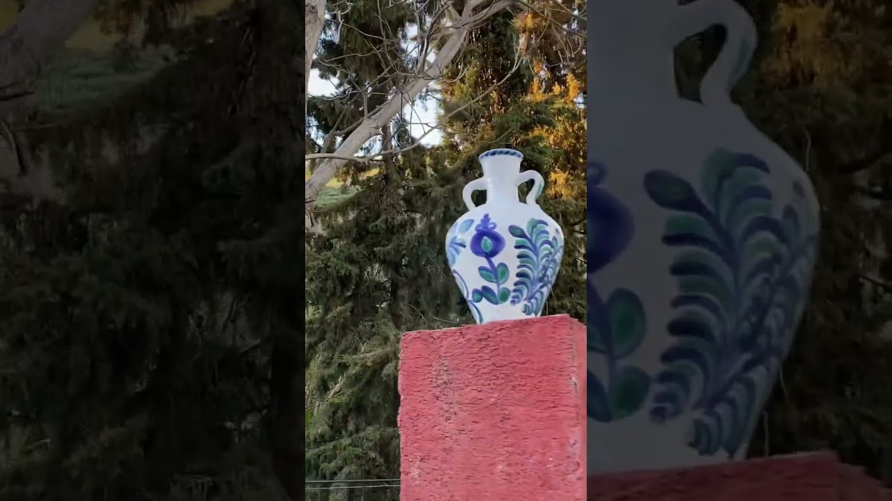 YouTube Short thumbnail