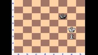 Chess Endgame: Opposition & Pawn Promotion