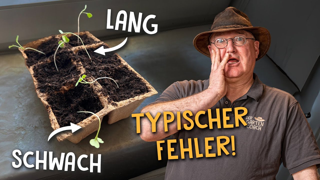 Aussaat und Anzucht Video 1