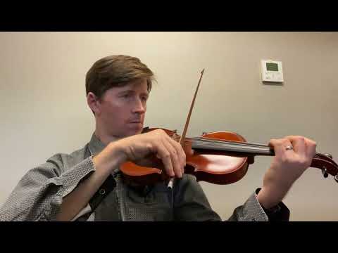 Terra Nova by Myer Violin II