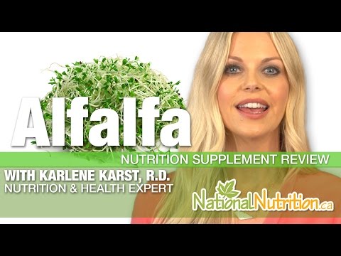 Alfalfa Health Benefits