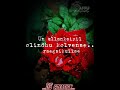 Aagaya Suriyanai WhatsApp Status NS Creation