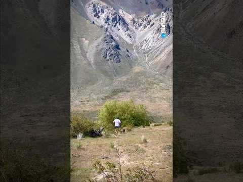 CONOCE LA LAGUNA WILLMANCO 🌊A solo 5 km de Esquel #esquel #turismo #chubut #patagonia