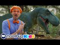 Natural History Learn About Dinosaurs BLIPPI EXPLORES Educational Videos For Toddlers