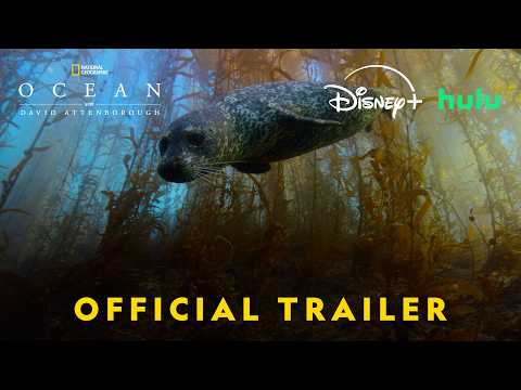 Thumbnail of the video: Official US Trailer