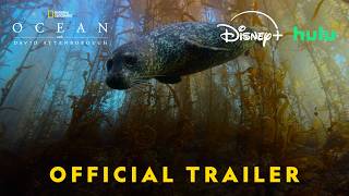 Official US Trailer