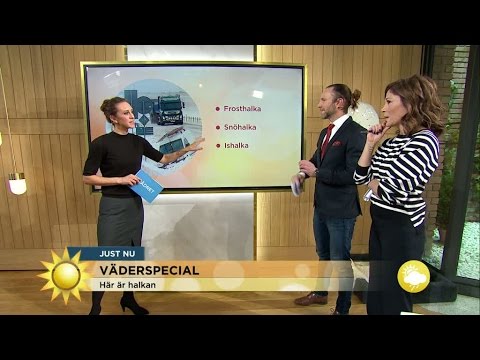 Väderspecial – frosthalka, ishalka, snöhalka - Nyhetsmorgon (TV4)